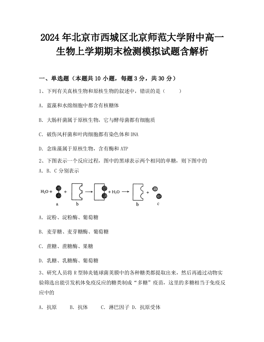 2024年北京市西城区北京师范大学附中高一生物上学期期末检测模拟试题含解析