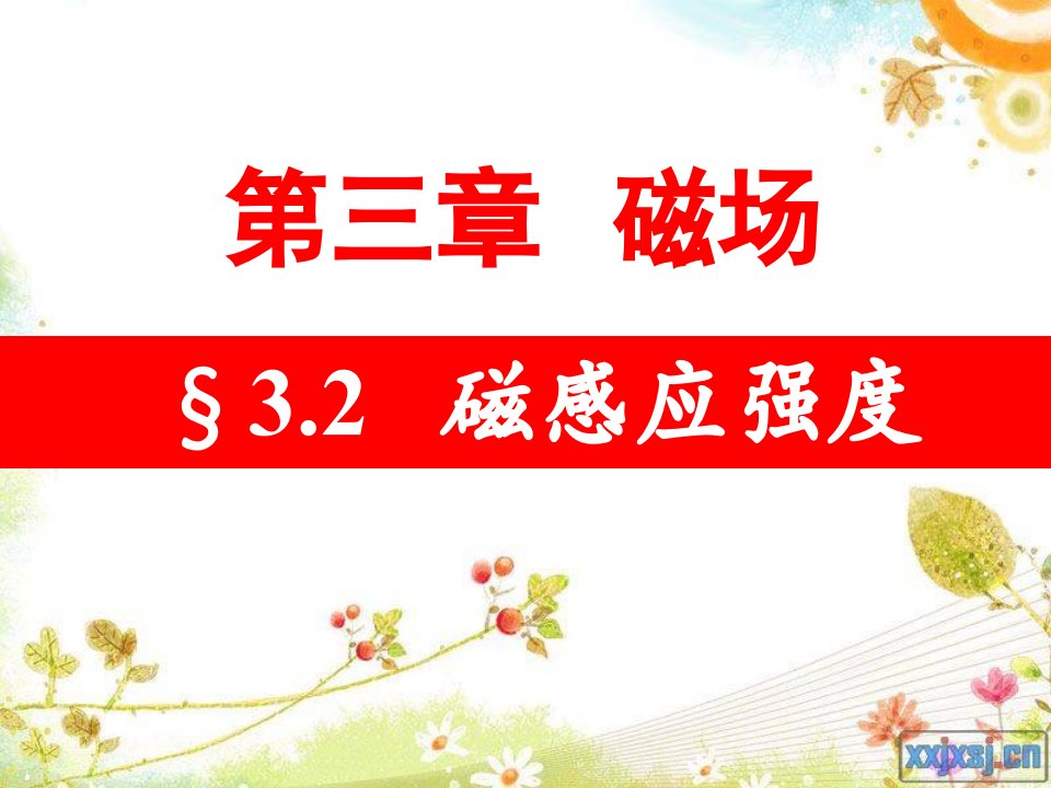 物理磁感应强度课件2新人教版选修31公开课获奖课件省赛课一等奖课件