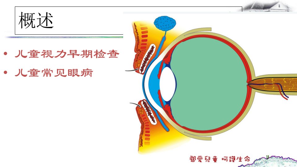 儿童常见眼病ppt课件