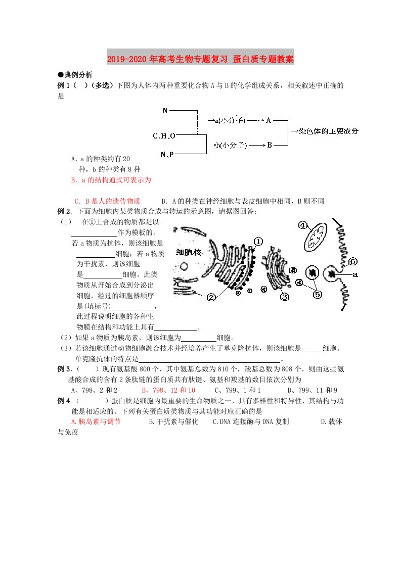 2019-2020年高考生物专题复习