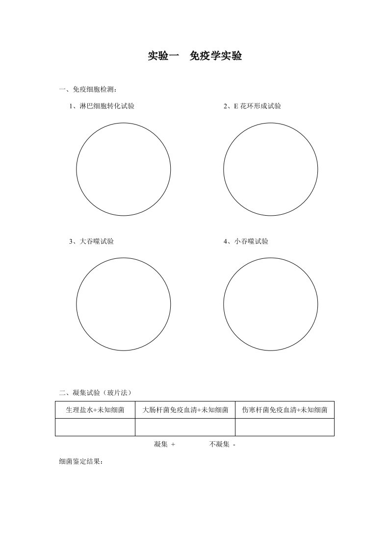 免疫学实验报告