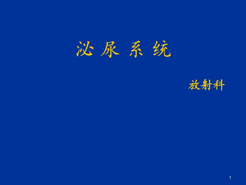 泌尿系造影影像诊断ppt课件