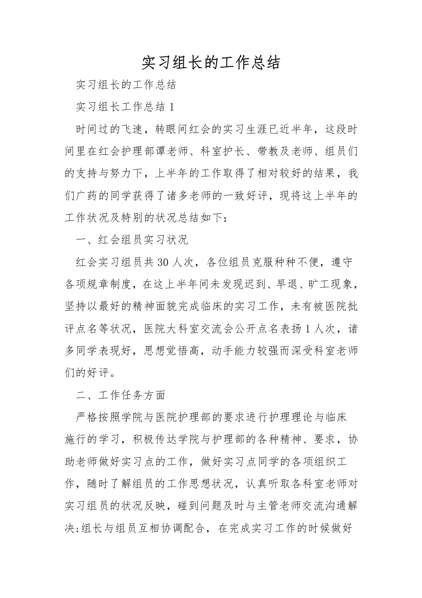 实习组长的工作总结