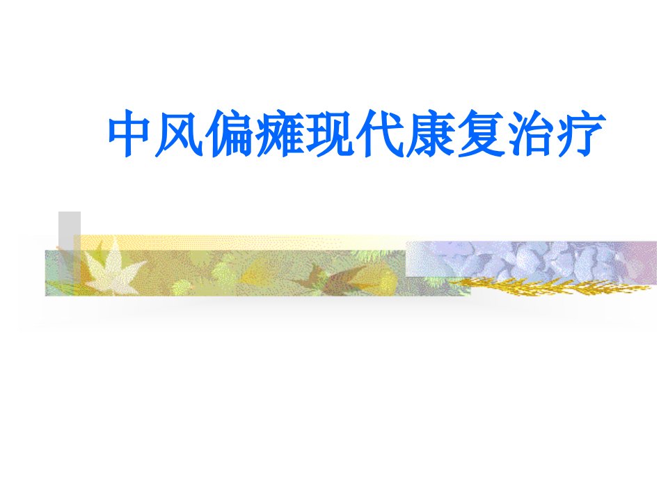 中风偏瘫现代康复治疗