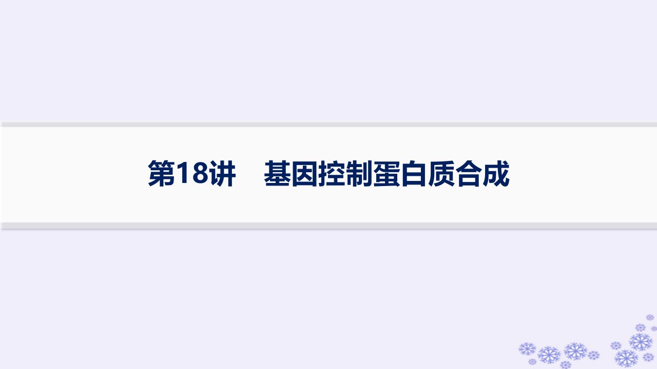 适用于新高考新教材浙江专版2025届高考生物一轮总复习第5单元遗传的分子基础第18讲基因控制蛋白质合成课件浙科版