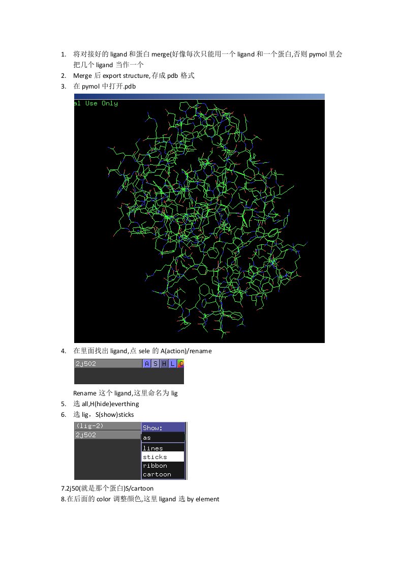pymol做图简单教程