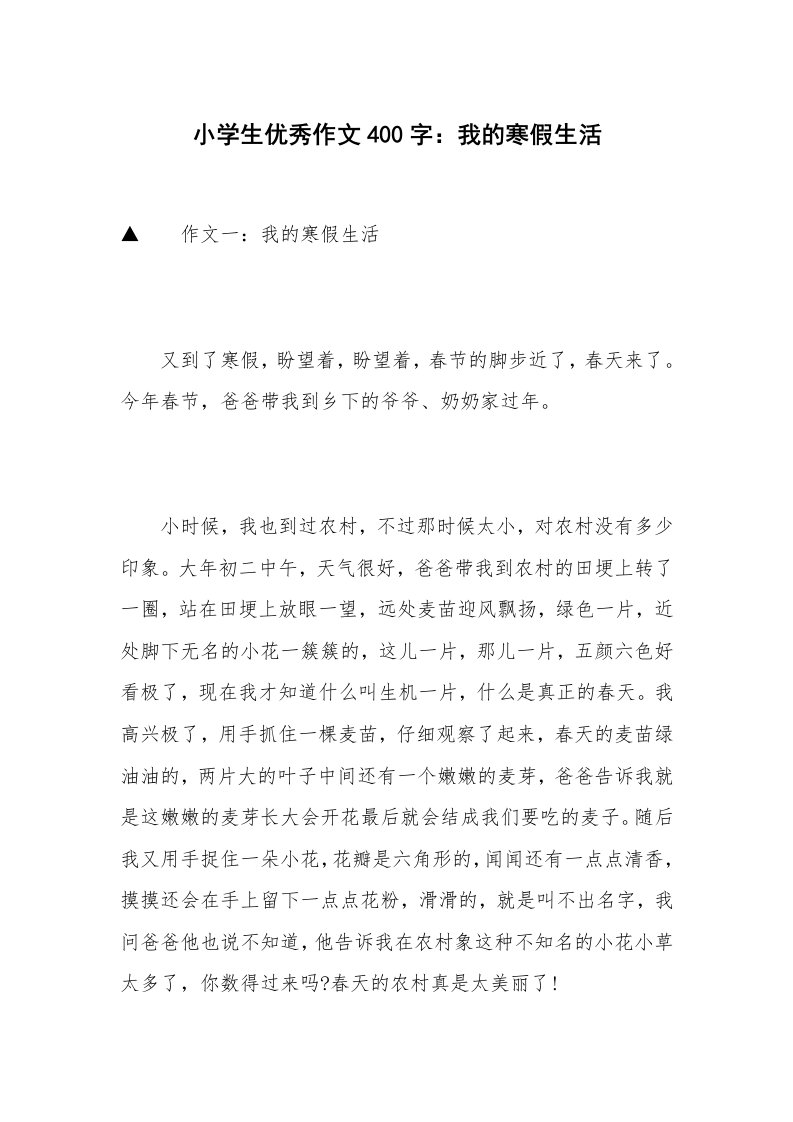 小学生优秀作文400字：我的寒假生活