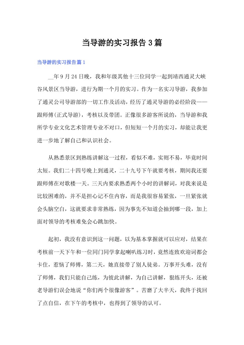 当导游的实习报告3篇