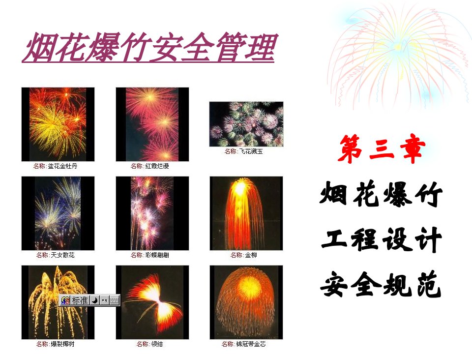 [精选]烟花爆竹的安全技术