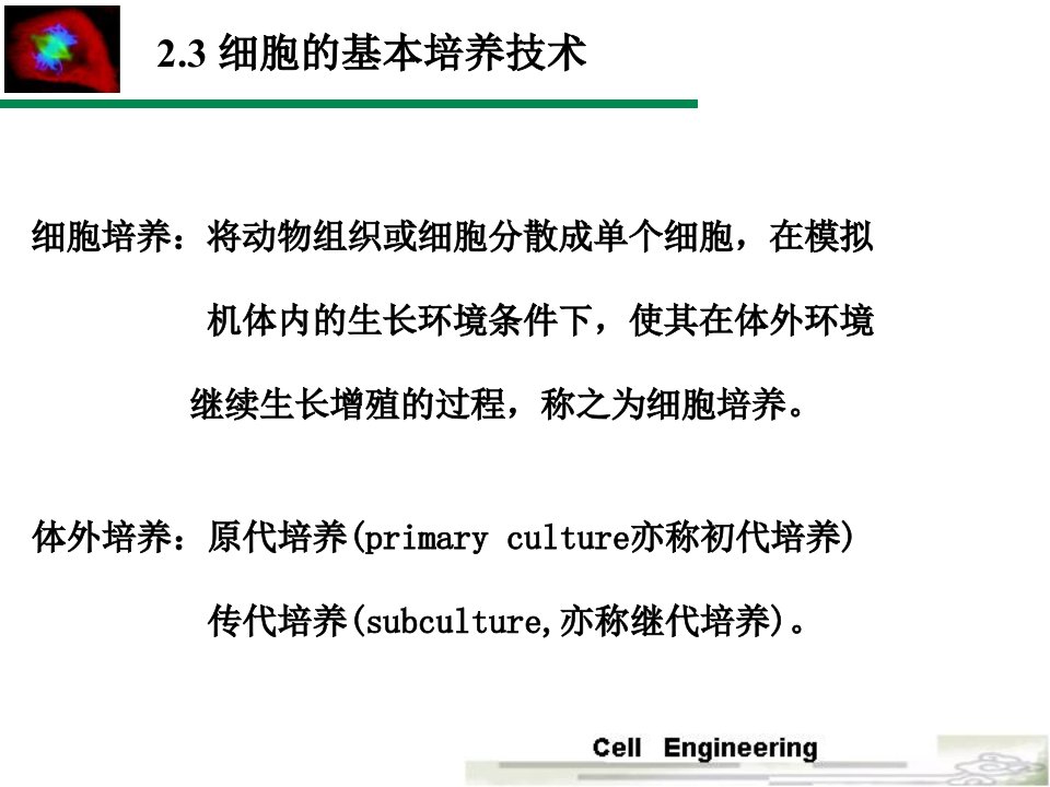 第2章细胞培养-3ppt课件