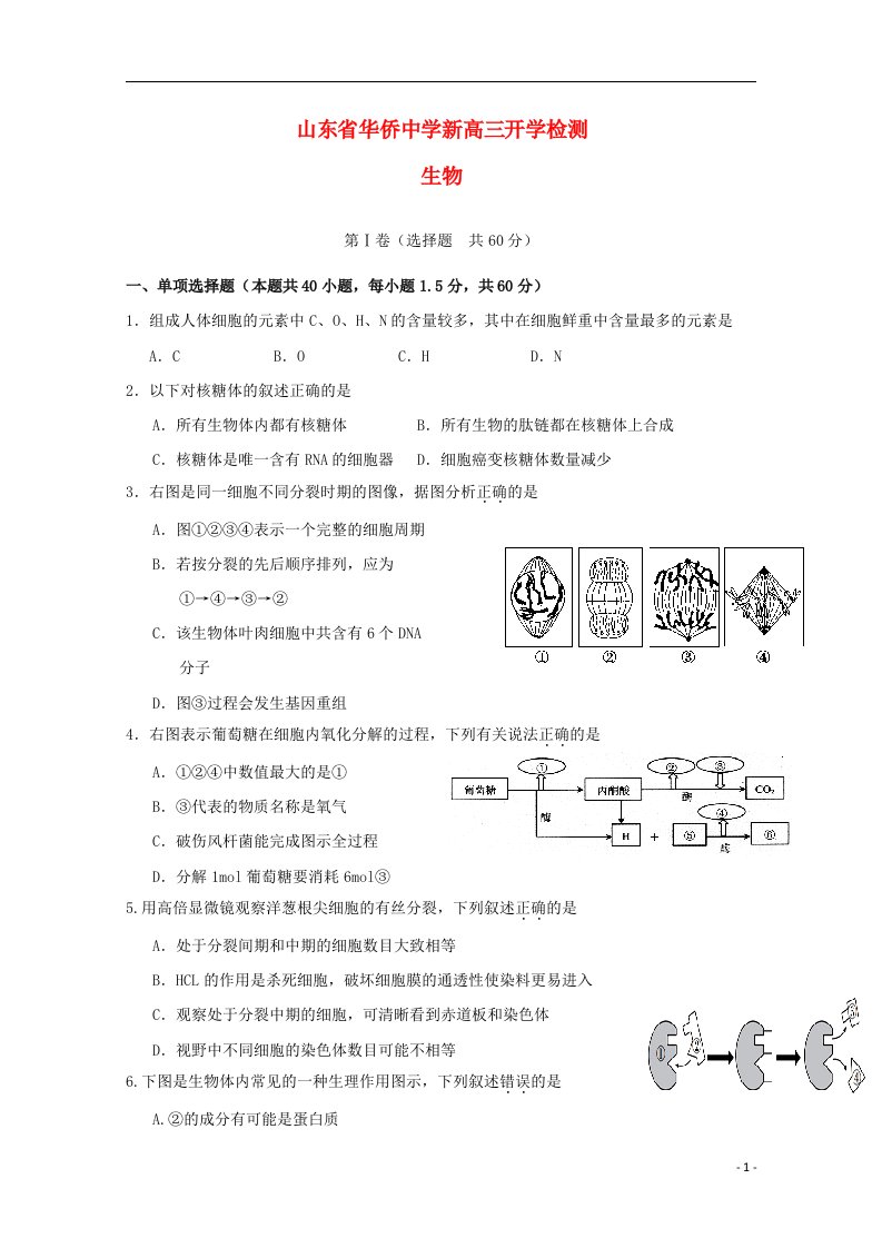 山东省华侨中学高三生物上学期开学考试试题