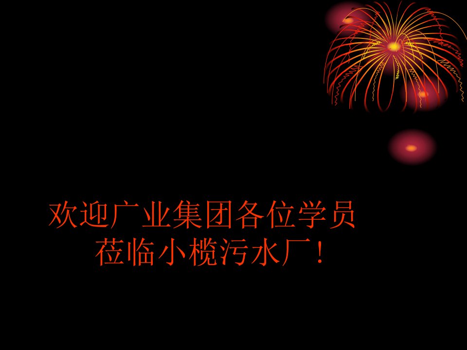 城市污水处理厂的运营管理(100530)