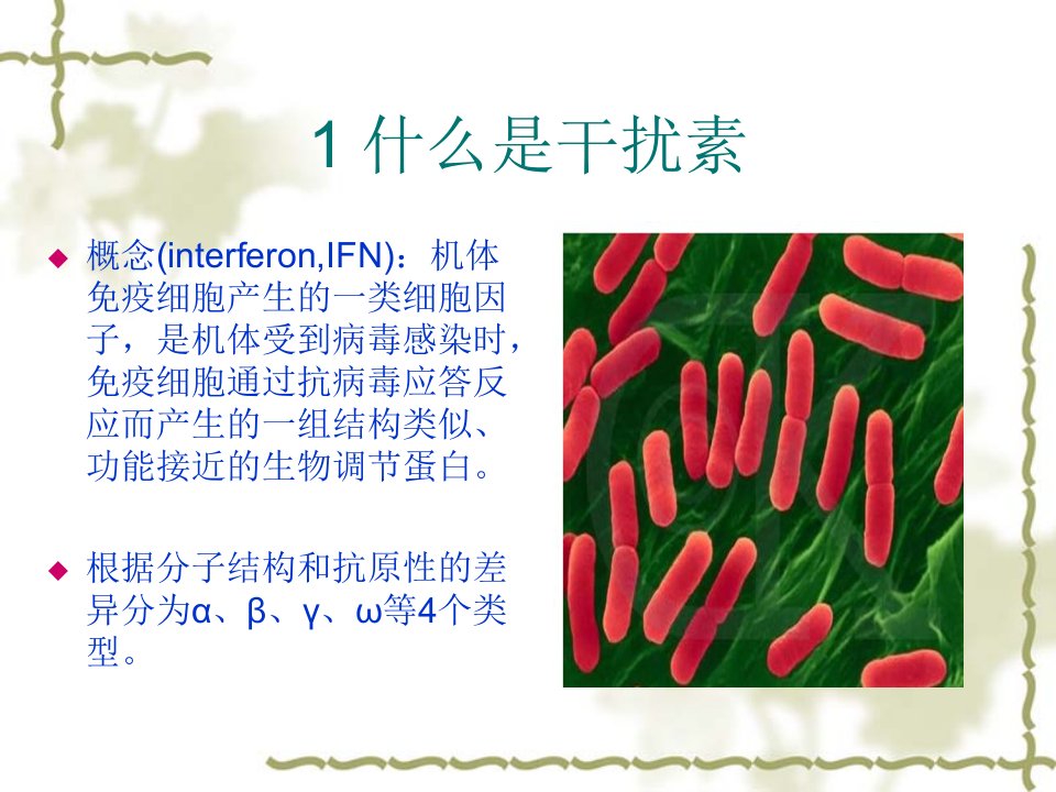 精选干扰素的工艺制备流程