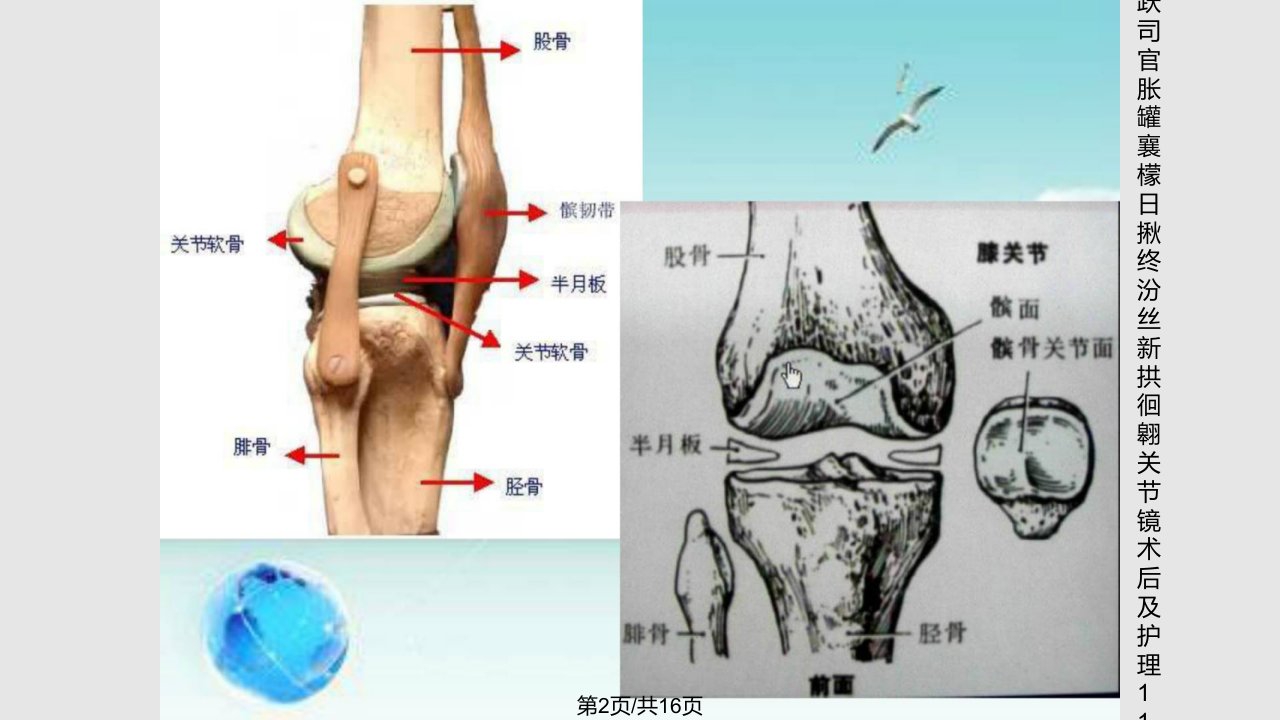 指南关节镜术后及护理临床医学医药卫生专业资料