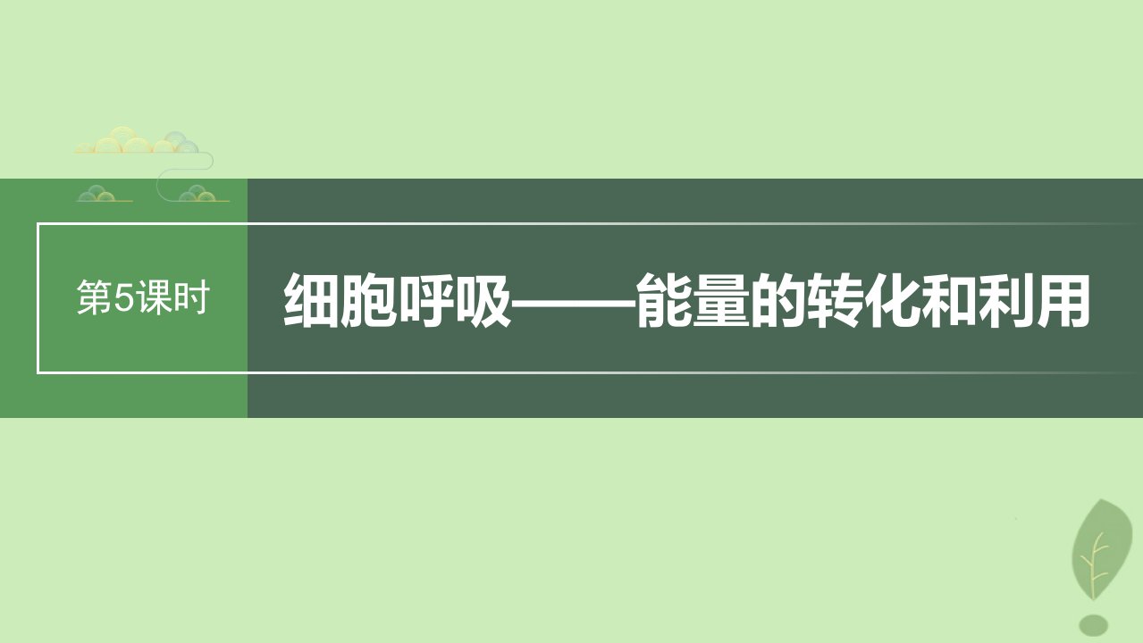 2024届高考生物一轮复习第三单元细胞的能量供应和利用第5课时细胞呼吸__能量的转化和利用课件苏教版