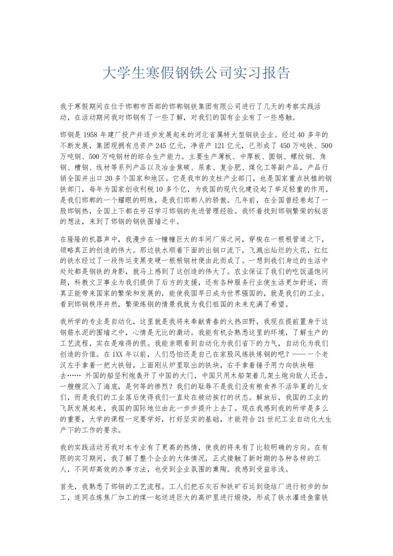 总结报告大学生寒假钢铁公司实习报告