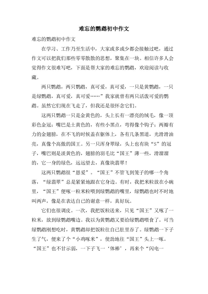 难忘的鹦鹉初中作文