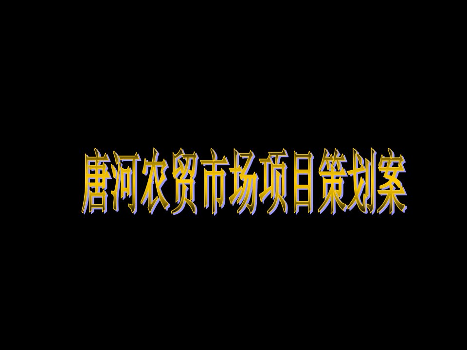 河南唐河农贸市场项目策划案