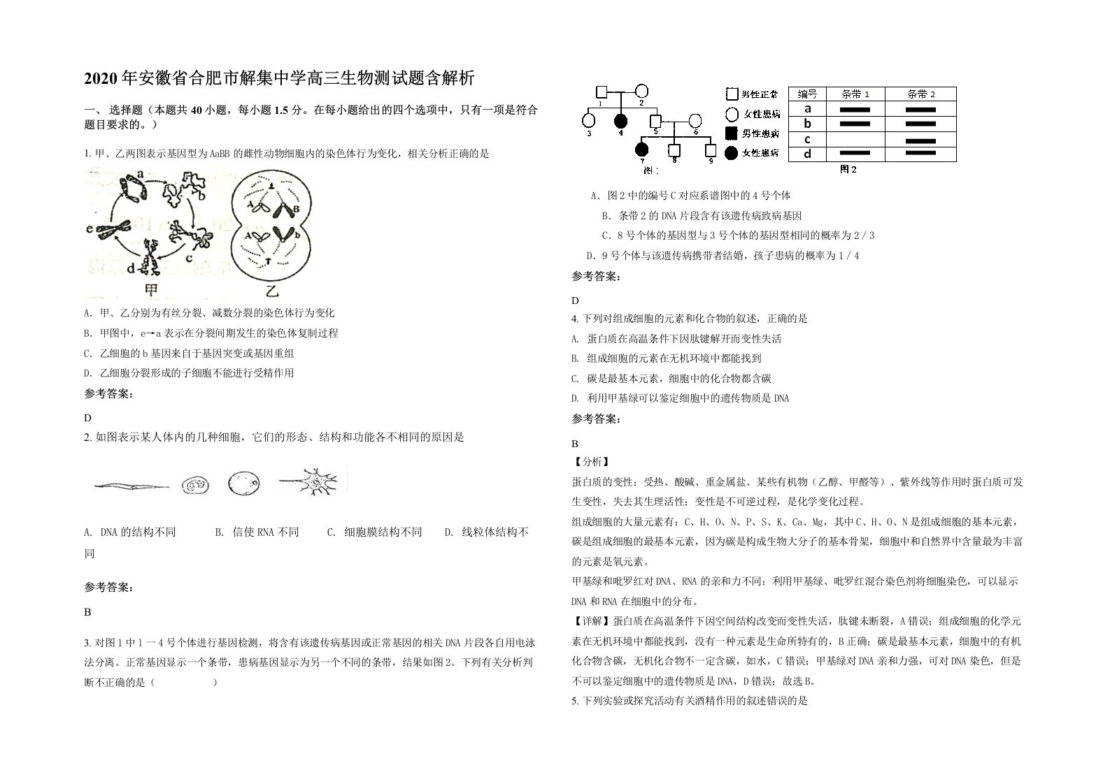 2020年安徽省合肥市解集中学高三生物测试题含解析