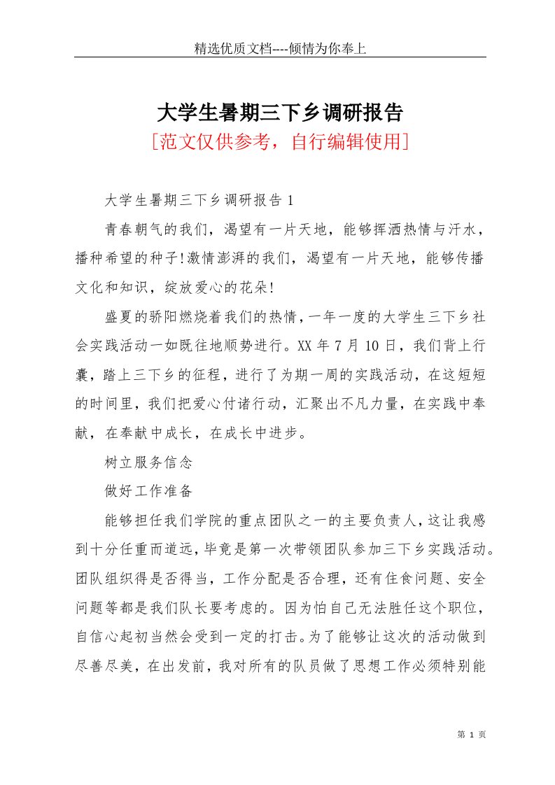 大学生暑期三下乡调研报告(共6页)