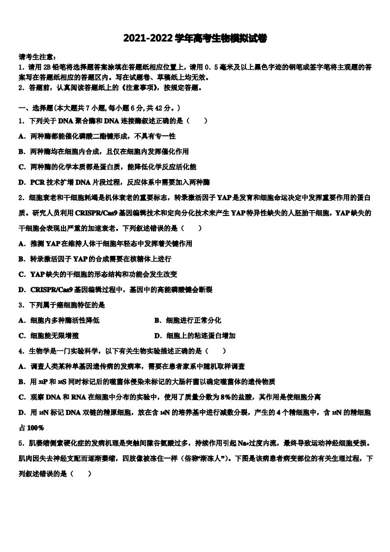 山东省潍坊市寿光现代中学2021-2022学年高三最后一卷生物试卷含解析