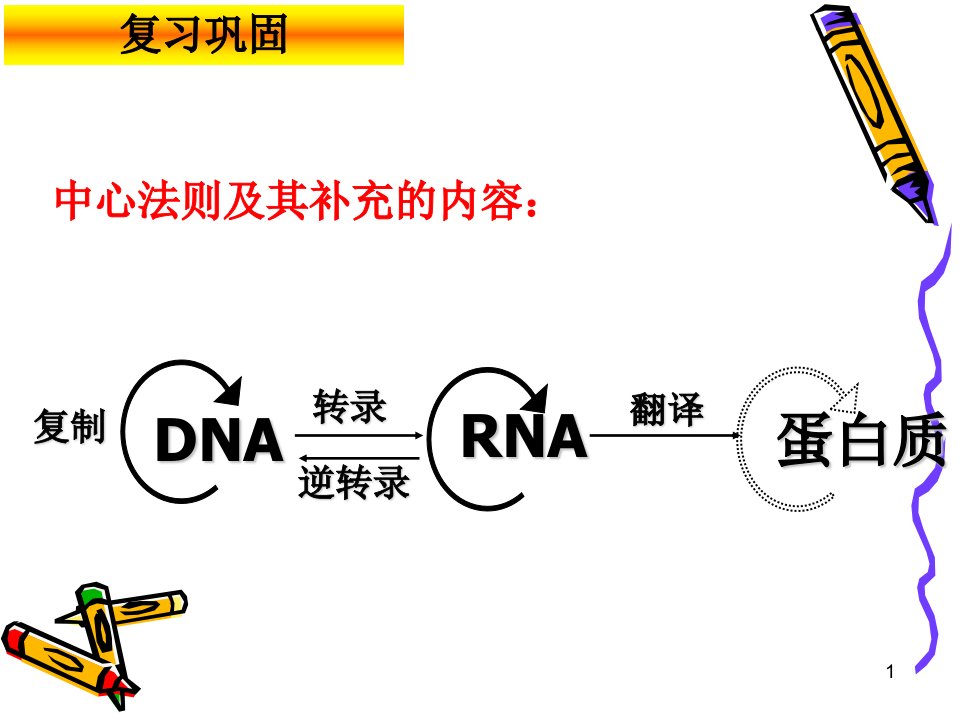 与遗传的物质基础相关计算教学设计