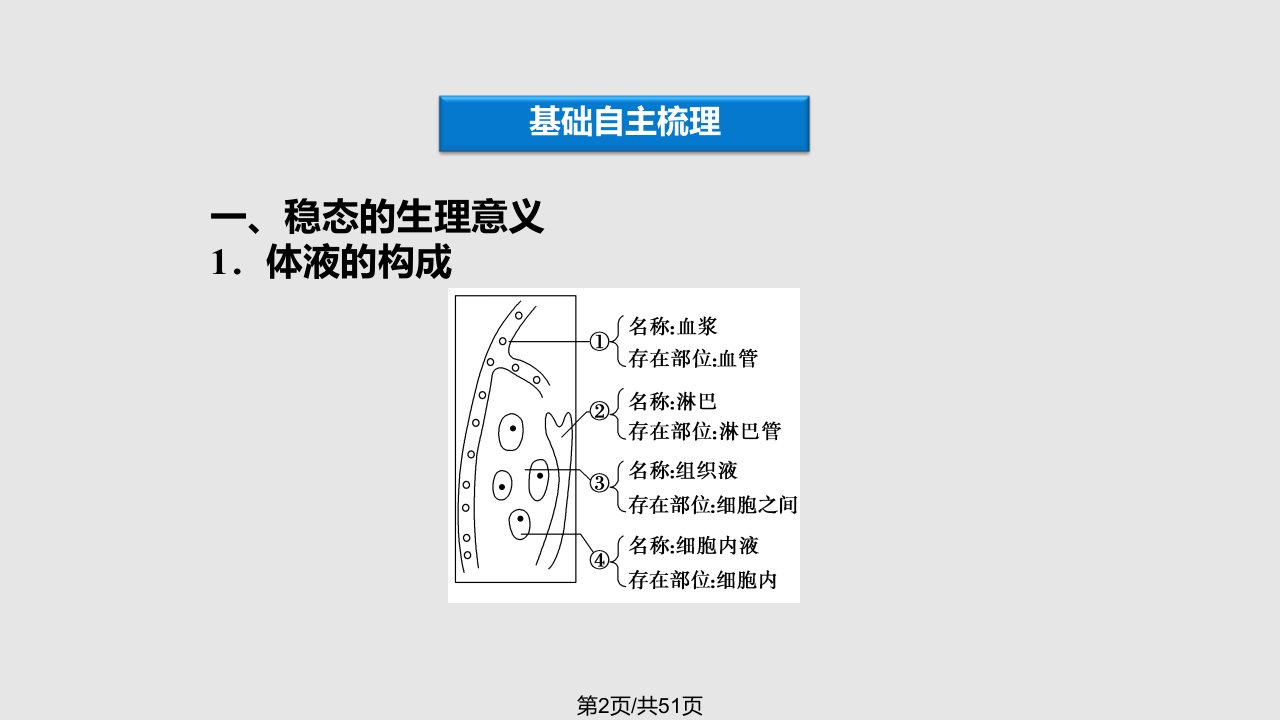 苏教稳态的生理意义及体温调节