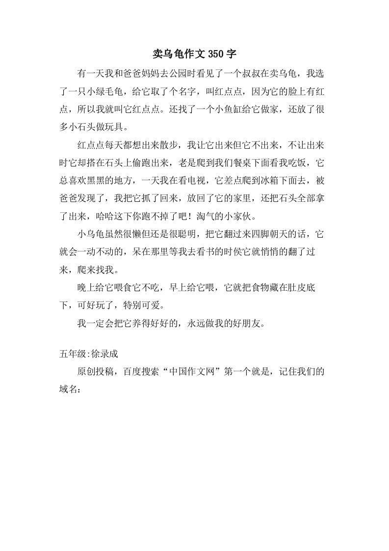 卖乌龟作文350字