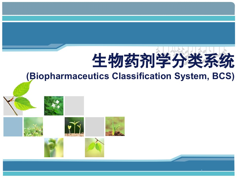 生物药剂学分类系统课件