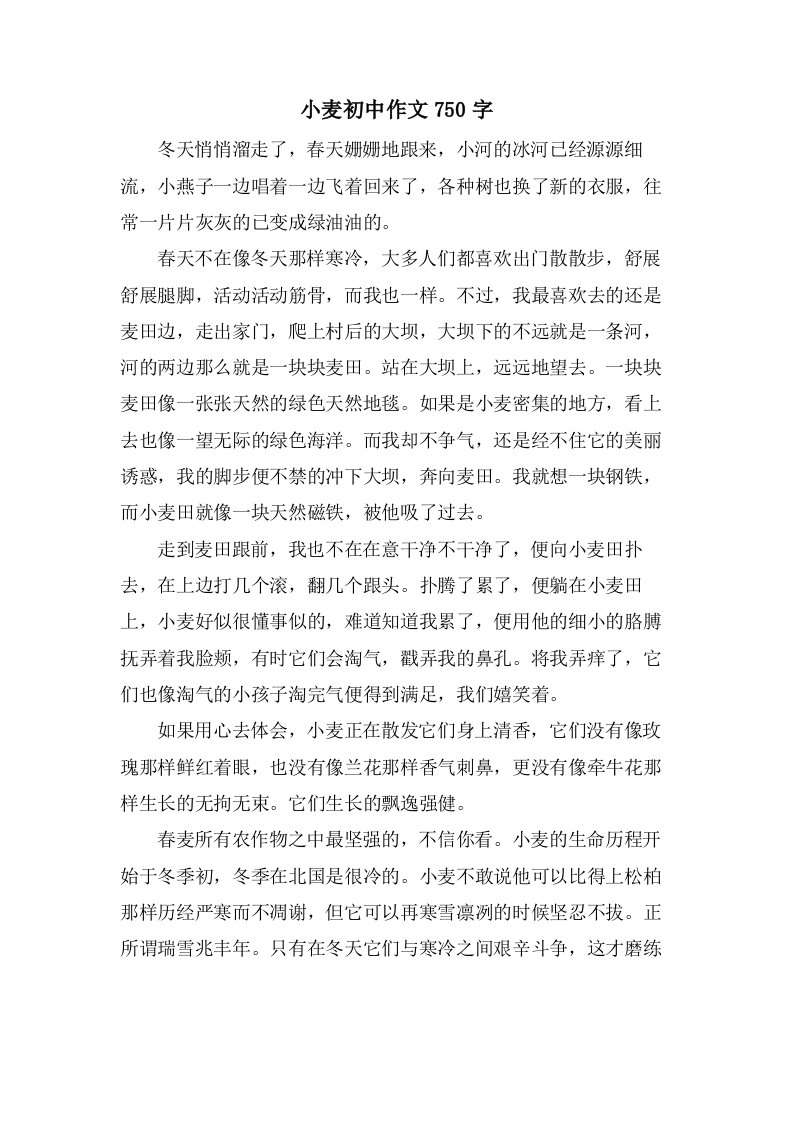 小麦初中作文750字