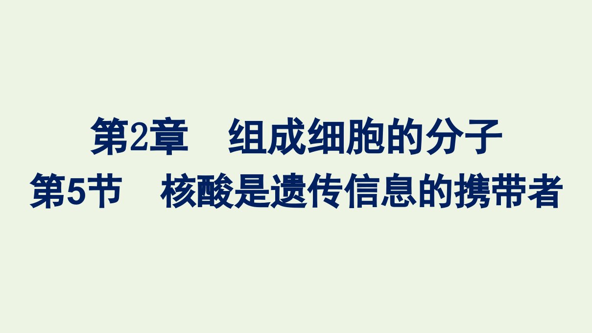 2021_2022学年新教材高中生物第2章组成细胞的分子第5节核酸是遗传信息的携带者课件新人教版必修1