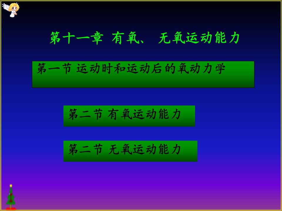 王步标运动生理学12章有氧和无氧运动能力