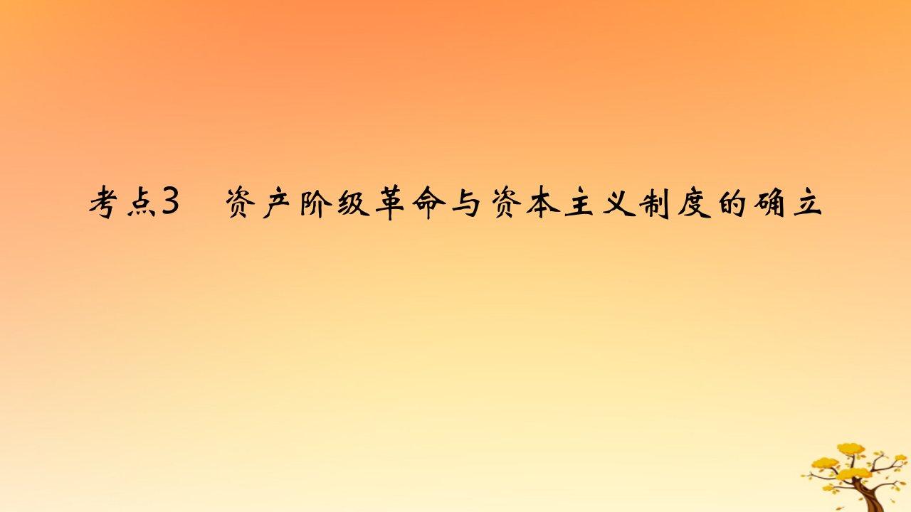 2025版高考历史一轮复习新题精练专题九走向整体的世界与资本主义制度的确立考点3资产阶级革命与资本主义制度的确立能力提升课件