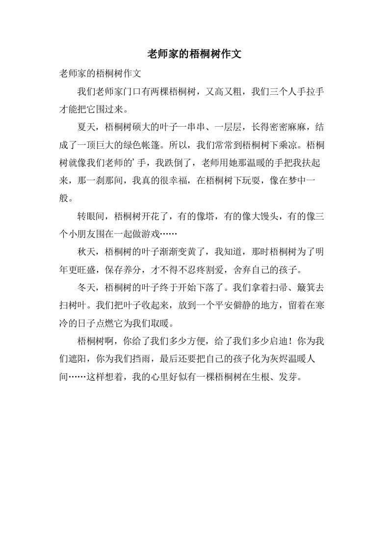 老师家的梧桐树作文