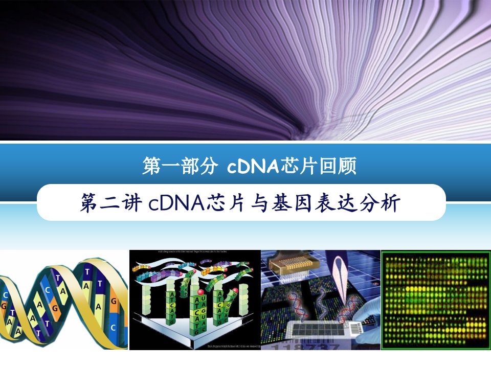 第二讲cDNA芯片与基因表达分析ppt课件