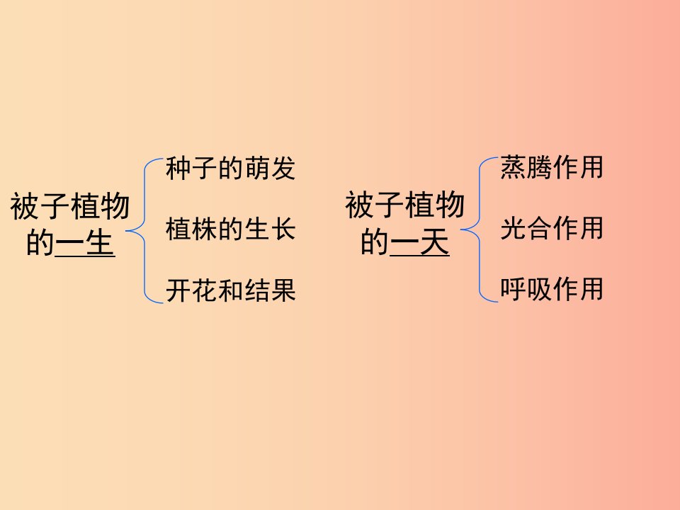 广东省汕头市七年级生物上册