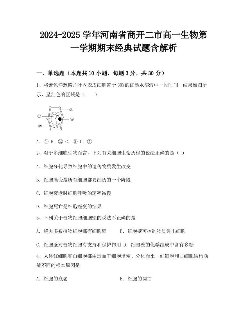 2024-2025学年河南省商开二市高一生物第一学期期末经典试题含解析