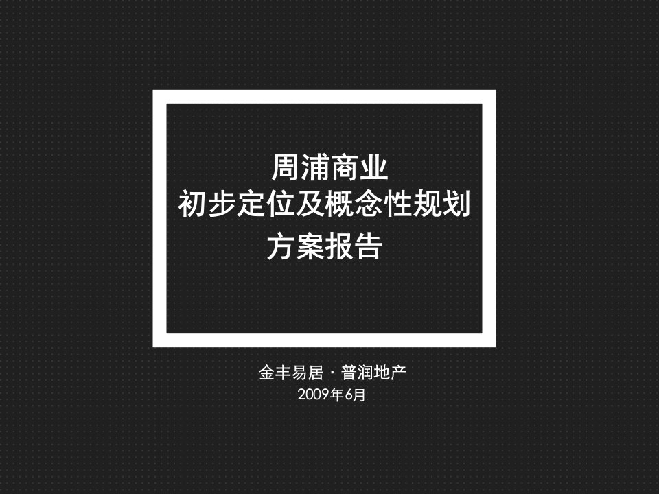 金丰易居：上海周浦商业初步定位及概念性规划方案报告2009