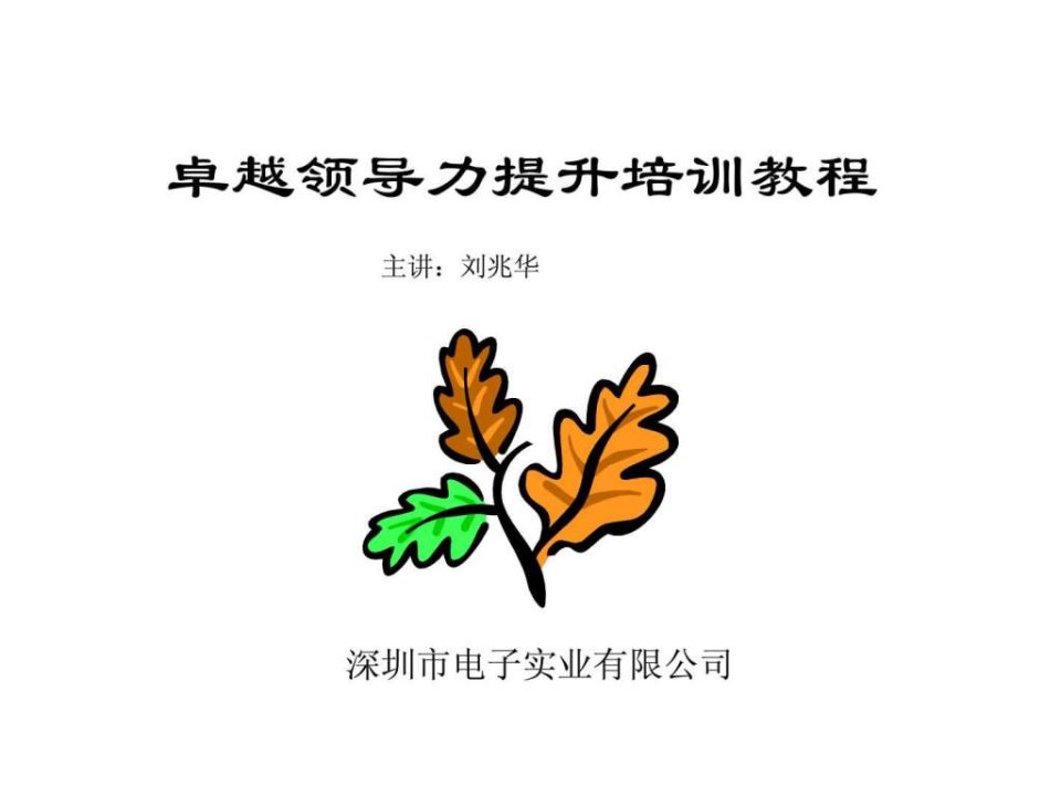 卓越领导力提升培训教程