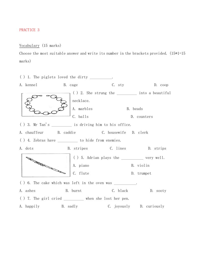 新加坡小学二年级英语试卷PRACTICE3