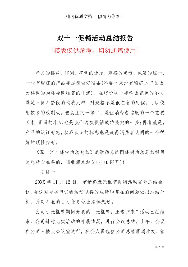 双十一促销活动总结报告(共6页)