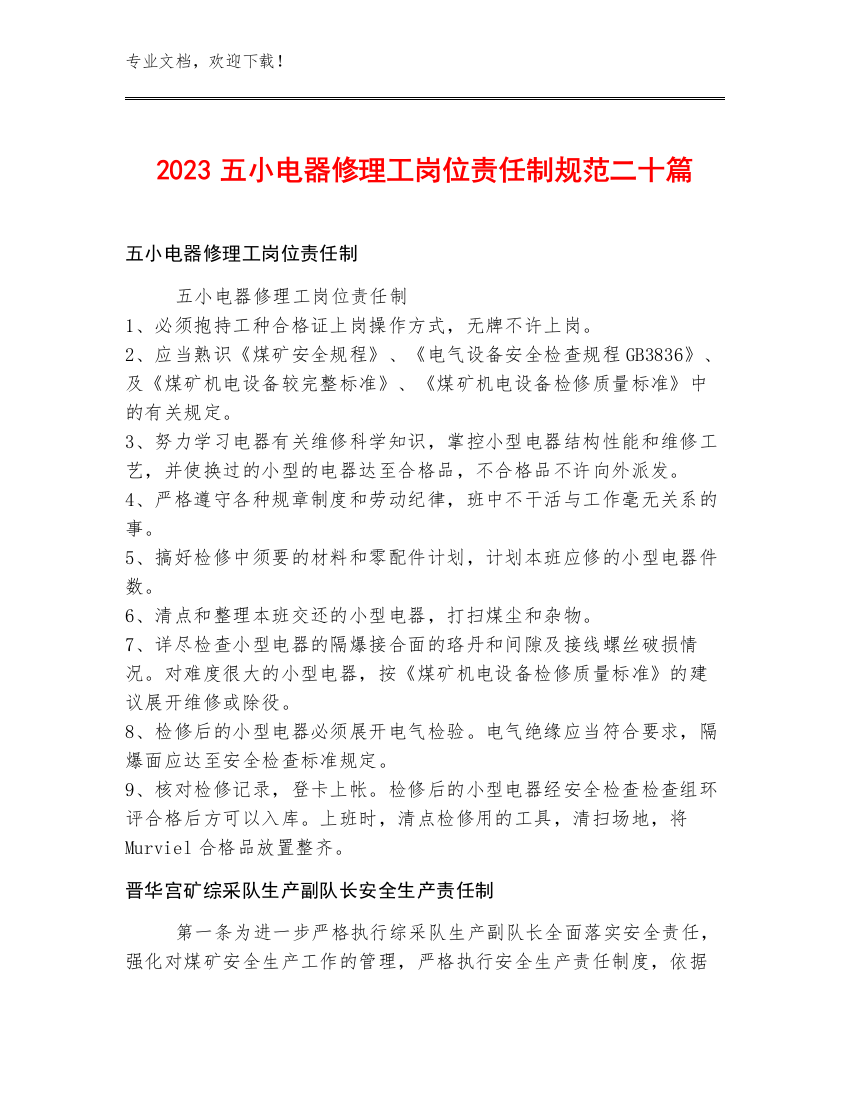 2023五小电器修理工岗位责任制规范二十篇