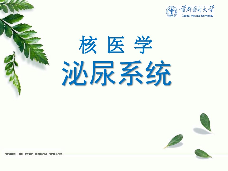 核医学：泌尿系统