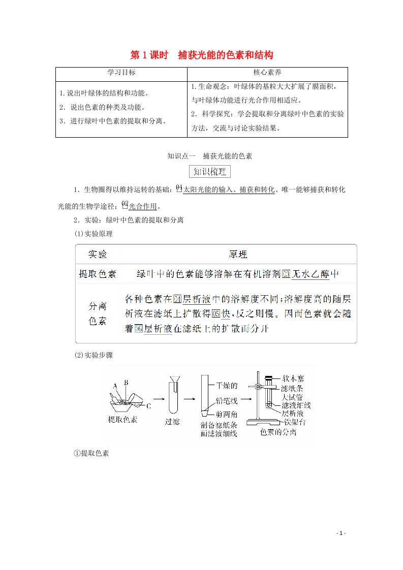 2020年新教材高中生物第五章细胞的能量供应和利用第4节第1课时捕获光能的色素和结构学案新人教版必修1