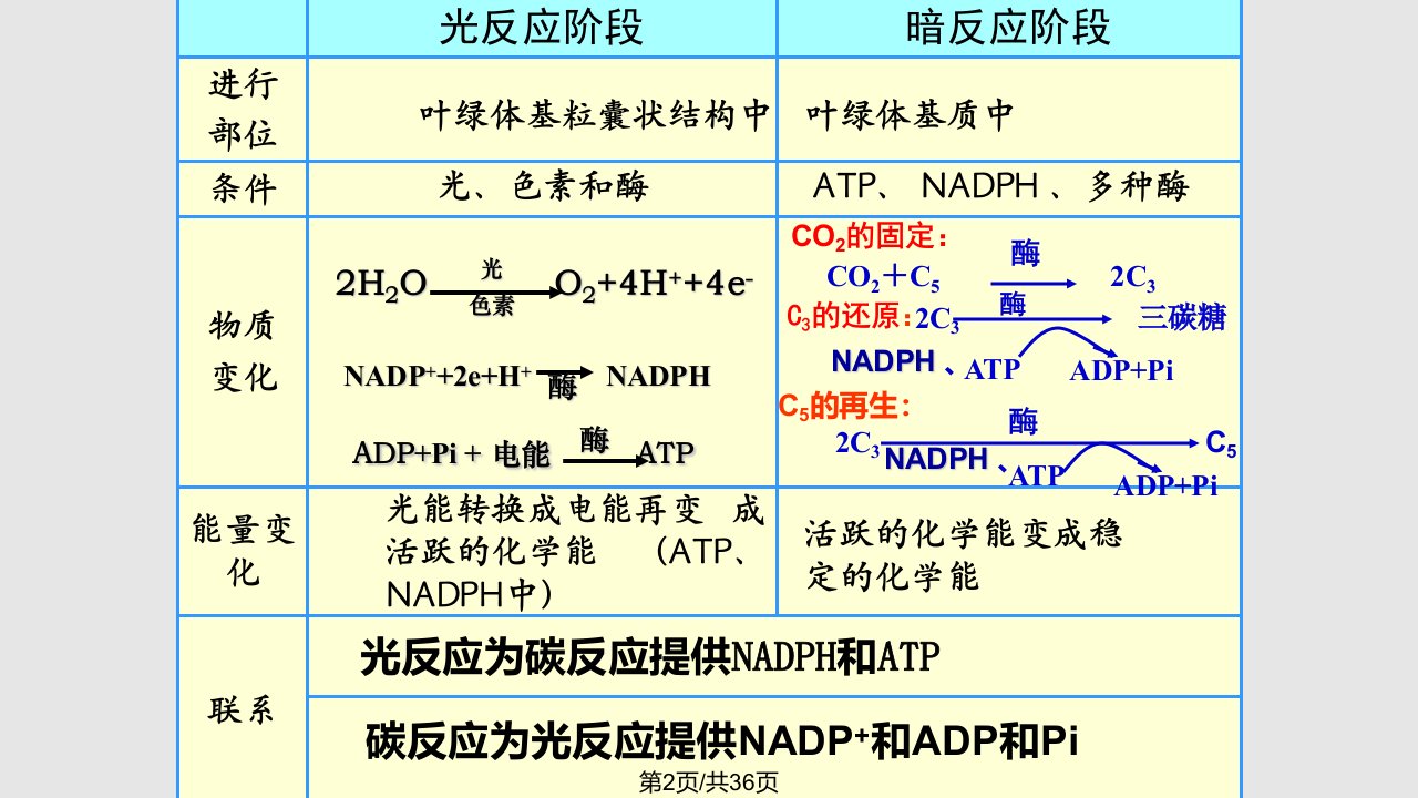 生物能量之源光与光合作用新人教必修