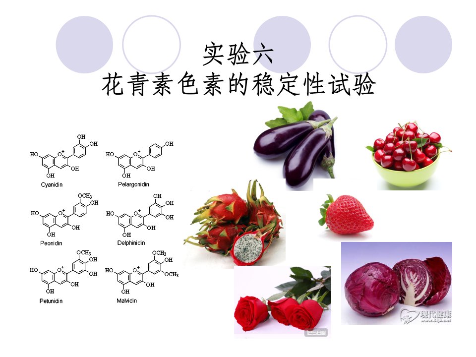 中国农业大学食品化学实验实验六