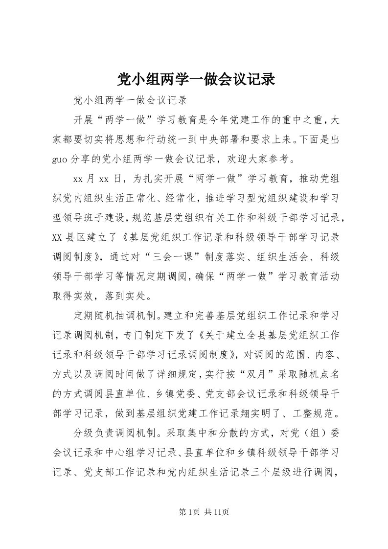 党小组两学一做会议记录