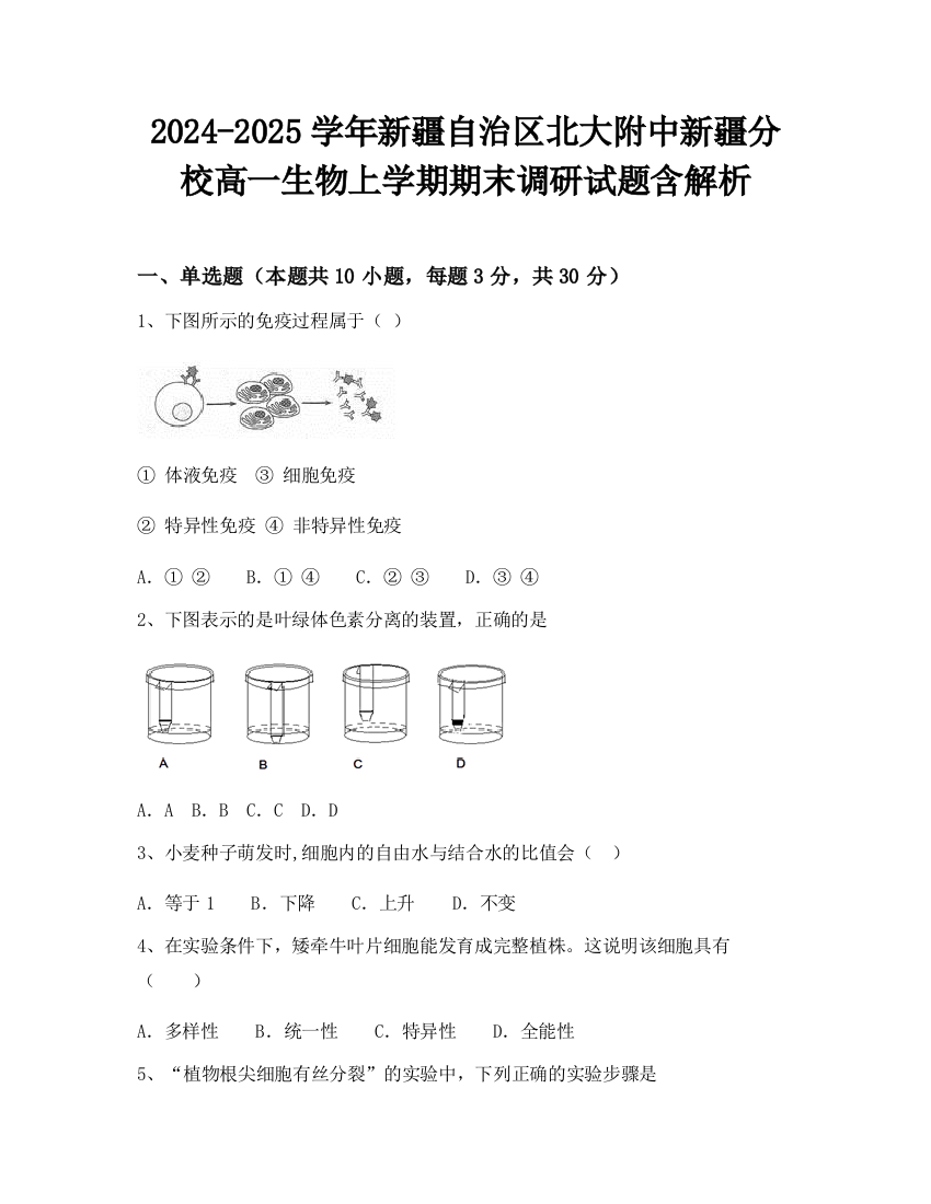 2024-2025学年新疆自治区北大附中新疆分校高一生物上学期期末调研试题含解析