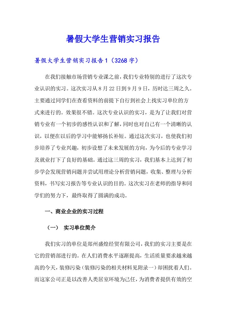 暑假大学生营销实习报告