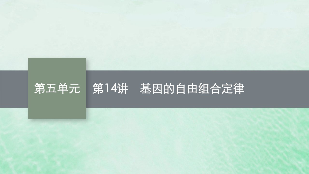 适用于老高考旧教材2024版高考生物一轮总复习第五单元遗传的基本规律第14讲基因的自由组合定律课件新人教版